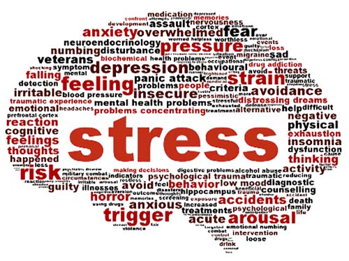 What can cause stress, factors listed